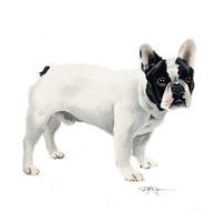 French-bulldog-etsy