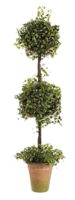 Topiary-ballard-designs