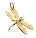 Dragon-fly-charm