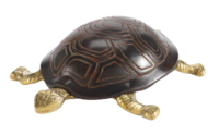 Turtle-cwonder