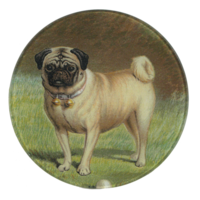 Pug-plate-john-derian
