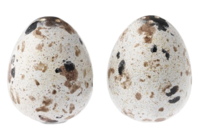 Egg-salt-and-pepper-shakers-williams-sonoma