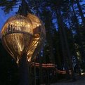 10-amazing-examples-of-treehouse-archicture-s