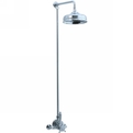 10-wall-mounted-showers-s