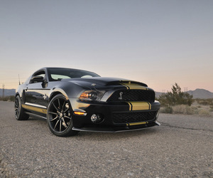 2012-shelby-gt-limited-50th-anniversary-edition-mustangs-m
