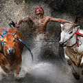 2013-world-press-photo-s