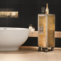 22-carat-gold-airplan-trolley-s
