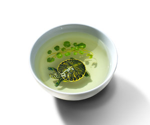 3d-animals-illustrated-using-acrylic-paint-and-resin-m
