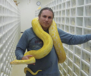 3d-laminate-snake-racks-m