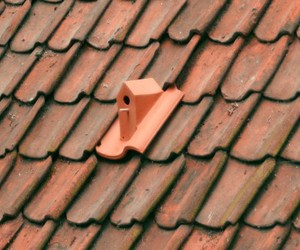 A-birdhouse-to-be-inserted-among-the-rooftiles-m