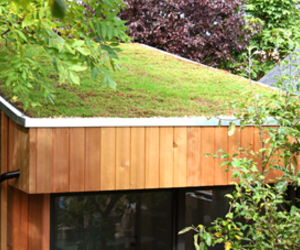 A-living-roof-sedum-natural-beauty-from-roomworks-4-m