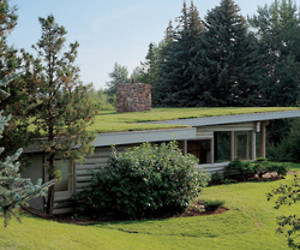 A Log Cabin In Montana By Richard Neutra
