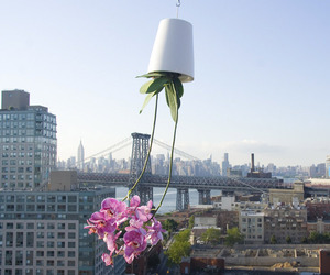 A-new-perspective-on-planters-2-m