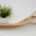 A-shelf-in-the-wind-by-olivia-blechschmidt-2-s