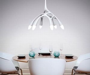 A-unique-lamp-from-constantin-wortmann-m