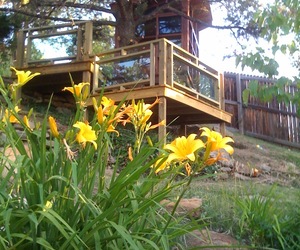 Abare treehouse