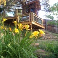 Abare-treehouse-s