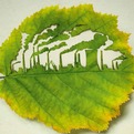 Ad-campaign-for-plant-for-the-planet-uses-cut-leaf-art-s