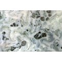 Addazing-floor-and-wall-coating-system-s