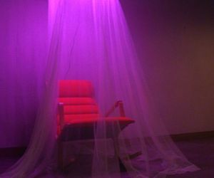 Aequorin-helps-reduce-your-stress-level-in-its-own-way-m