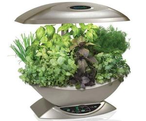 Aerogarden-from-aerogrow-m