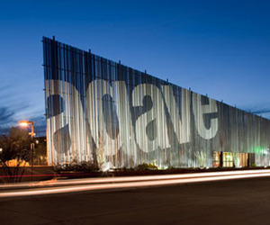 Agave-branch-library-the-build-blog-m