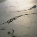 Alessia-concrete-wall-surfaces-s