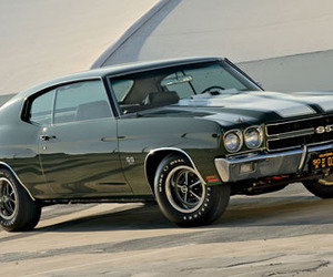 All-american-muscle-m