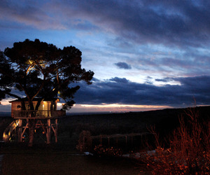 Amazing-ecoloft-a-house-in-the-trees-m