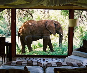 An-absolutely-tailor-made-honeymoon-m