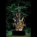 An-artistic-disposal-of-urban-waste-2-s