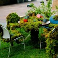 An-incredible-green-office-s