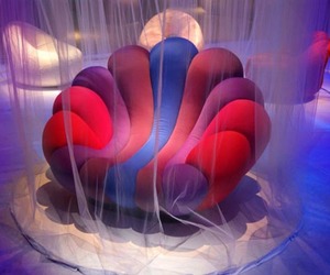Anemone-armchair-by-giancarlo-zema-for-giovannetti-m
