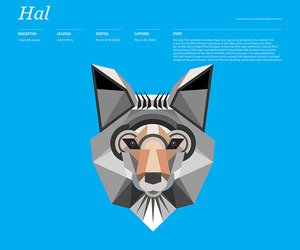 Animal-infographic-m