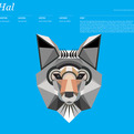 Animal-infographic-s