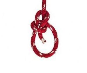 Animated Knots