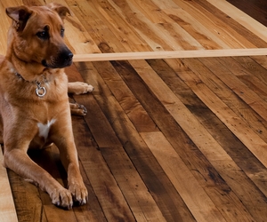 Antique-warehouse-maple-flooring-m