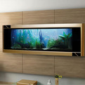 Aquavista-dino-gold-fish-tank-is-worlds-most-expensive-s