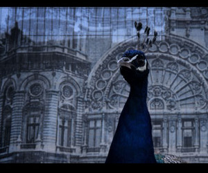 Architecture-design-film-festival-m