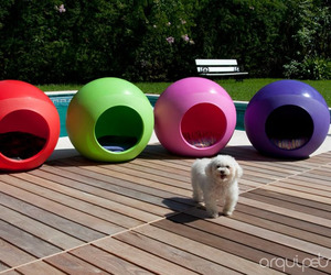 Arquipets-collection-m