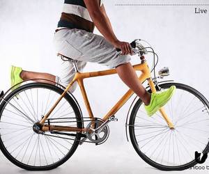 Bamboo-bee-bicycle-m