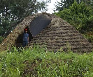 Bamboo-dome-m