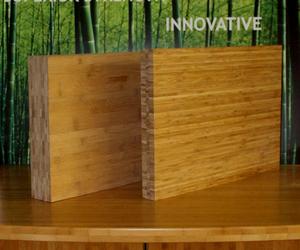Bamboo-panels-lamboo-lvb-sustainable-future-m