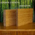 Bamboo-panels-lamboo-lvb-sustainable-future-s