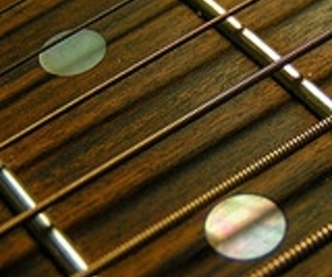 Bamboo-product-as-replacement-for-rare-ebony-woods-m