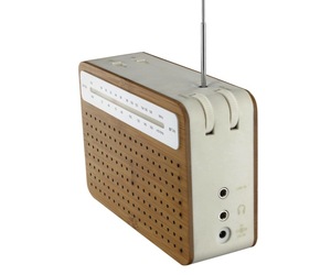 Bamboo radio