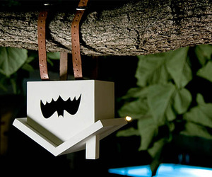 Bat-house-m