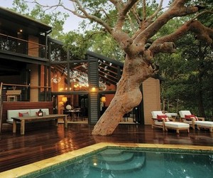 Beach-retreat-in-australia-set-among-native-eucalypti-m