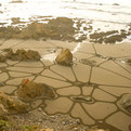Beach-sand-sculpture-s