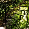 Beautiful-staircase-s